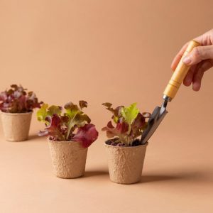 Floral Composition & Structure Principles