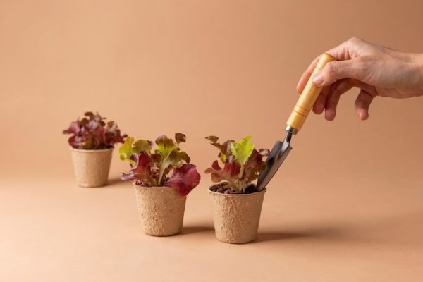 Floral Composition & Structure Principles